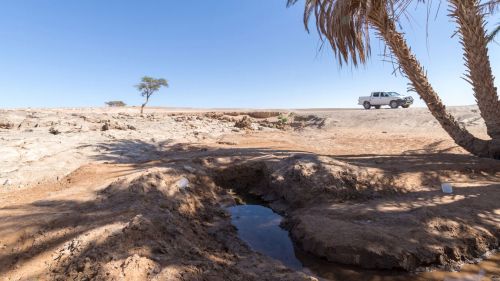 Wasserquelle in der Wüste