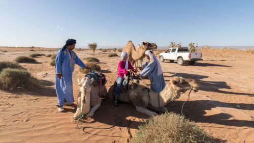 Dromedartour in der Wüste