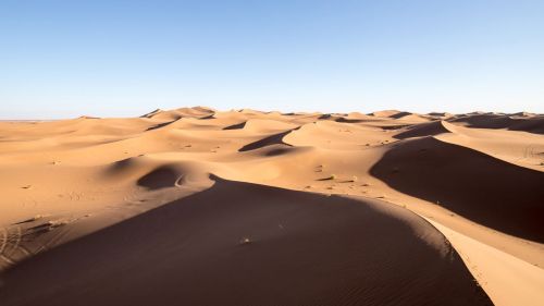 die Sanddünen der Sahara